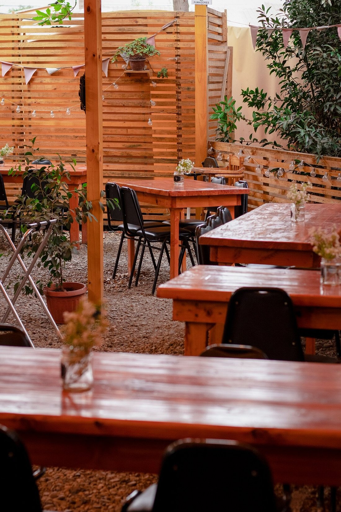 imagen de la terraza